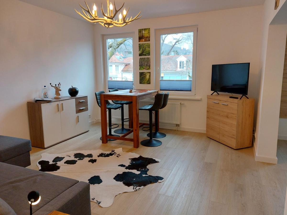 Ferienwohnung Am Jungbrunnen 2 Bad Harzburg Eksteriør billede